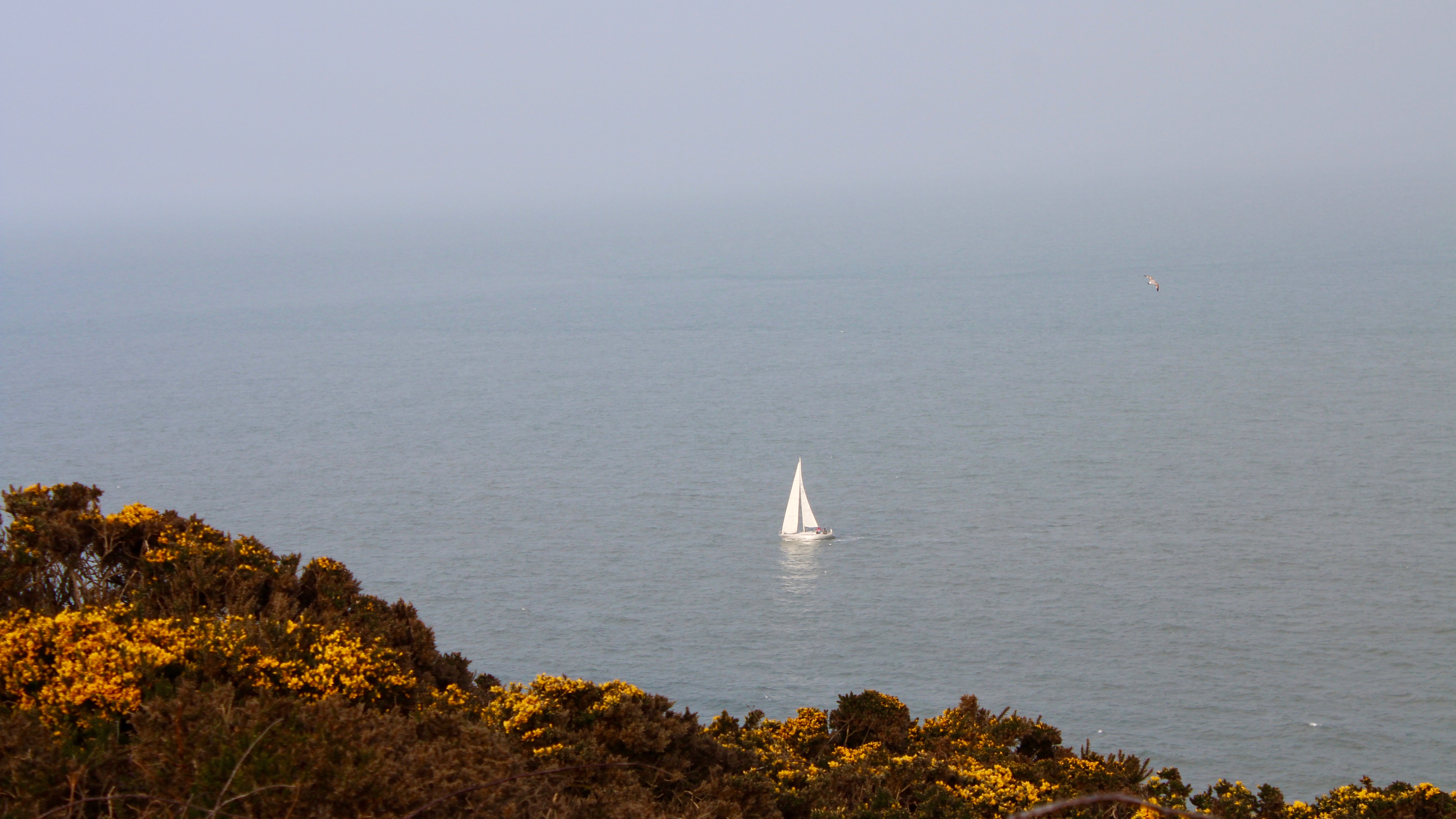 Howth