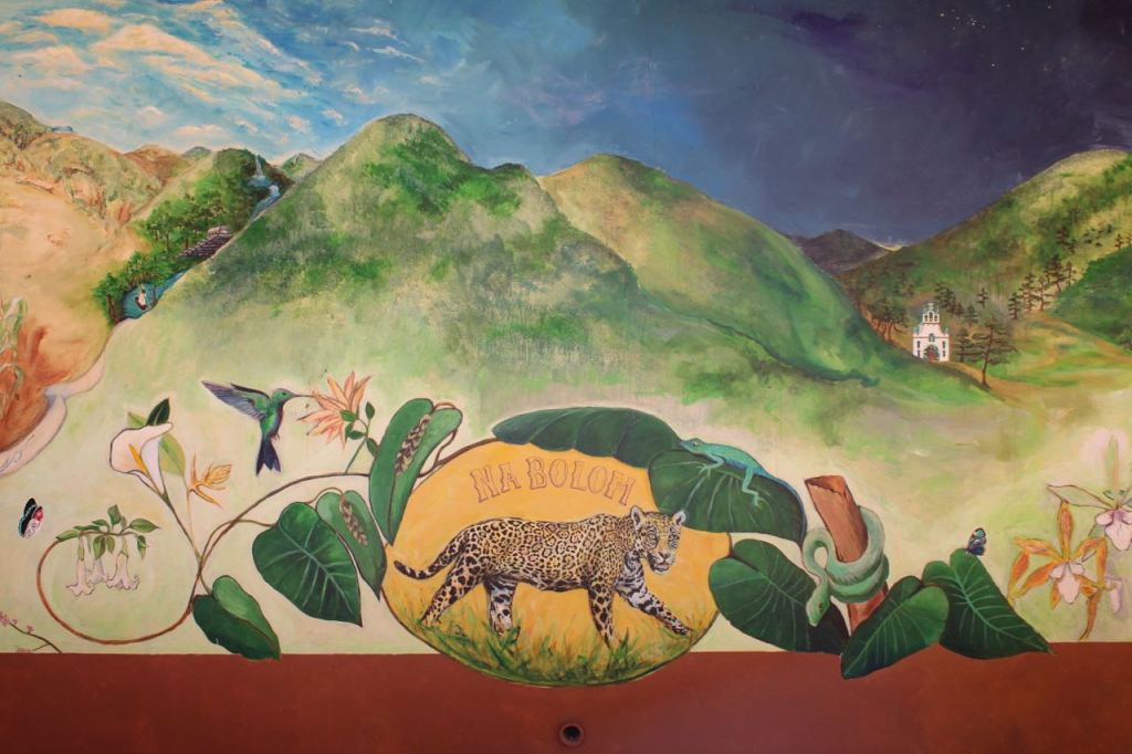 Indigenous culture lives on in San Cristobal de las&nbsp;Casas